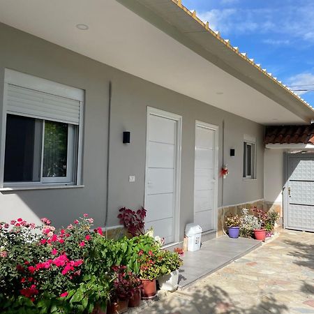 Guest House Luli Strumi Berat Dış mekan fotoğraf